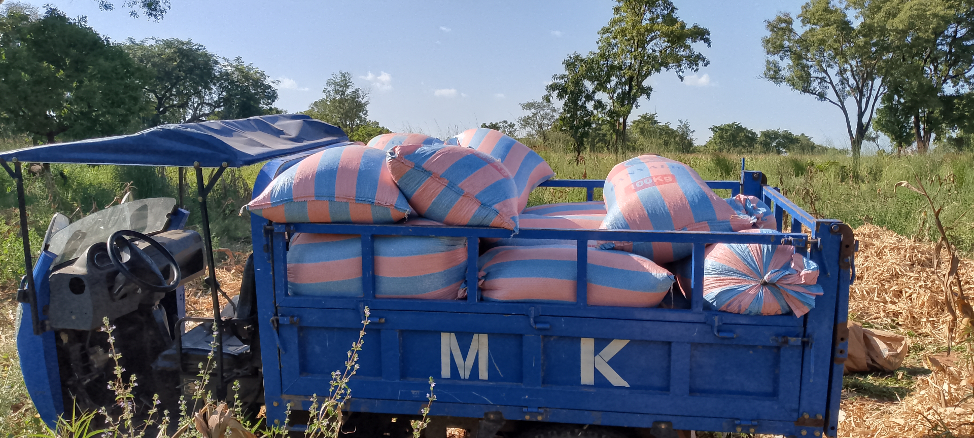 Aggregation — bagged maize loaded for hub consolidation and dispatch.